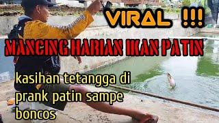 VIRAL!! MANCING HARIAN IKAN PATIN || kasian tetangga sampe boncos #mukhlischannel #pelampungngetrik