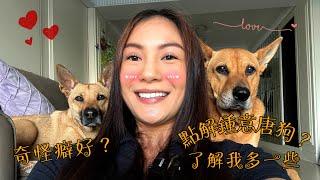 點解鍾意養唐狗?了解我多一些 支持領養 Dog Lover || Suki L