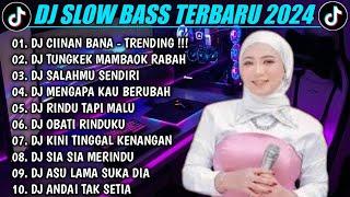 DJ TIKTOK TERBARU 2024 | DJ CIINAN BANA DJ SALAHMU SENDIRI - CUT RANI FULL BASS