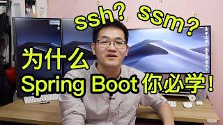 为什么Spring Boot才是你该学的!学java找工作必会技能!在职程序员带你梳理JavaEE框架