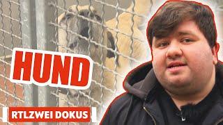 Unerfahren in die Hundewelt! | Armes Deutschland | RTLZWEI Dokus #armesdeutschland #94