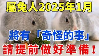 屬兔人，請小心！2025年1月將有「奇怪的事」！請提前做好準備！【佛語禪音】#生肖 #命理 #運勢 #屬相 #風水