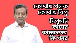 কোথায় পলক ! কোথায় বিপু ! দিপুমনি - কাদের -  কামরুলের কি খবর !