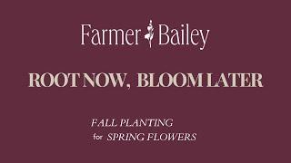 Root Now, Bloom Later: Fall Planting Cut Flower Plugs