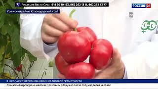 «Россия 24 Сочи» показали сюжет о селекции отечественных семян овощей