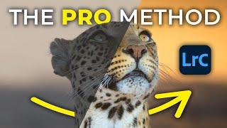 How to rescue DULL AND LIFELESS wildlife images using LIGHTROOM!