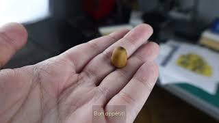 How to Make a Miniature Potato