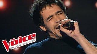 Gnarls Barkley – Crazy | Sol | The Voice France 2016 | Blind Audition