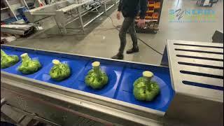 Decoring machine for cauliflower broccoli iceberg cabbage