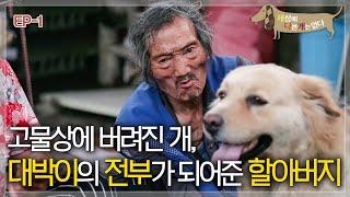 세상에 나쁜 개는 없다 - 할아버지에게 찾아온 선물, 대박이_#001