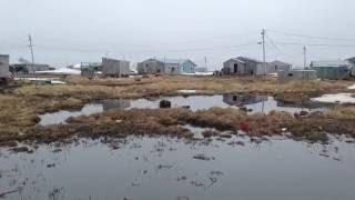 Running from Erosion in Newtok, Alaska