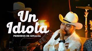 Perdidos de Sinaloa - Un Idiota [En Vivo]