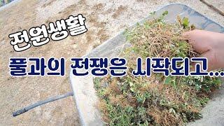 풀과의 전쟁 #전원생활 #브이로그#귀촌