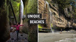 Visiting UNIQUE Beaches on Vancouver Island! (Sombrio Beach, Mystic Beach, & Botanical Beach!)