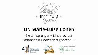 Systemsprenger - Kinderschutz veränderungsorientiert gedacht - Dr. Marie-Luise Conen