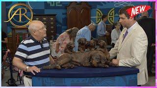 Antiques Roadshow 2024 | Antiques Roadshow US | Antiques Roadshow Full Episodes