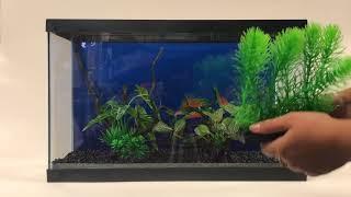 Realistic Driftwood Plants From Penn-Plax