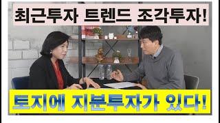 토지썰전2.소액지분투자!!현황 및 향후전망