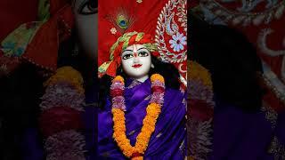 *Mangla Darshan* Sri Sri Krishna Balaram from Gupt Vrindavan Dham  #reels #vrindavan