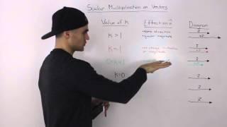 effects of scalar multiplication on a vector - useful reference tool