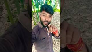 Ye Dil Teri Aankho Me Duba #Aashiq Aman #shorts #trending 
