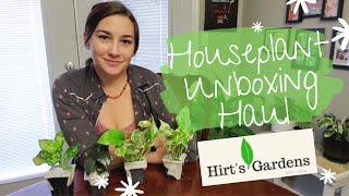 Houseplants Unboxing Haul Hirt's Gardens Online