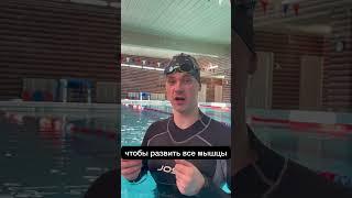 Какие мышцы работают в плавании? ‍️ #тренерпоплаванию#пловец#плавание