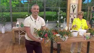 Girl Next Door 3pc Passion Fruit Lantana w/ Hanging Basket Plants on QVC