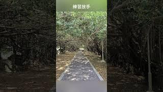 心靈晶句#1|摘錄自 【我可能錯了 森林智者的最後一堂課】#語錄#心靈#念頭#布只繪水晶