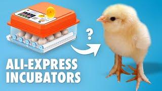 Chinese egg incubators - Do they work?  Fully Automatic Chicken Egg Incubator