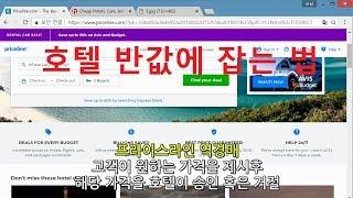 킴비서 / 호텔예약 - 호텔 반값에 잡기 - 프라이스라인 역경매, 익스프레스딜