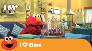 Elmo Wants Cake | Life Skills | Wednesday Special | Sesame Workshop India