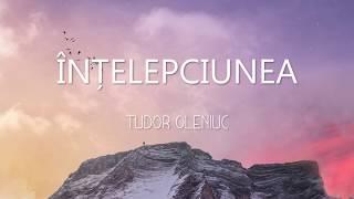 Înțelepciunea - Tudor Oleniuc (Official audio)