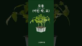 파종부터 모종까지 농업용어
