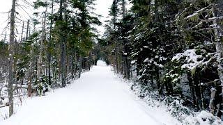 Cross Country Skiing in the USA at Bretton Woods in New Hampshire | GoPro 4K XC in New England