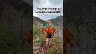 Carrying my dog hiking! You can use haileyoutside10 for 30% off the Trail Magik #doglife #hiking