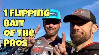 1 FLIPPING BAIT - Pro Picks!