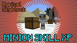 MAXED SKILLS NUR MIT MINIONS  Hypixel Skyblock Deutsch | Multidissimo