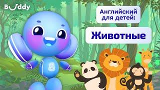 Животные на английском | Учим английские слова с Бадди | Buddy.ai | Английский для детей