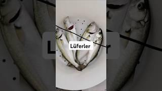 Boğazda LÜFER çıkıyor ! Kurşun arkası / Boylar süper #fishing #balıkçobanı #shortsvideo  #balikavi