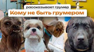 Кто не сможет стать грумером  Профессия грумер, какие навыки необходимы? Советы грумера
