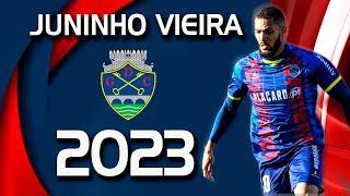 JUNINHO VIEIRA 2023
