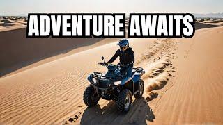 Ocotillo Wells: Thrilling Adventures Await