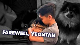 BTS’s V Announces the Loss of Yeontan