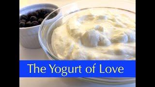 The Yogurt of Love