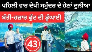 ਪਹਿਲੀ ਵਾਰ ਦੇਖੀ ਸਮੁੰਦਰ ਦੇ ਹੇਠਲੀ ਦੁਨੀਆ Aquarium Canada  Punjabi Travel Couple | Ripan Khushi