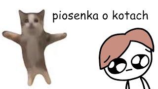 piosenka o kotach