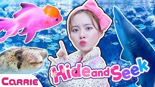 아쿠아리움에 숨어 있는 반짝 반짝 빛나는 물고기 탱탱볼 찾기 놀이  | 숨바꼭질 Hide and Seek