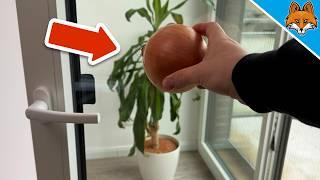 Rub an Onion over your Windows and WATCH WHAT HAPPENS(Amazing)