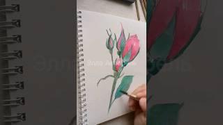 Роза акварелью #акварель #живопись #роза